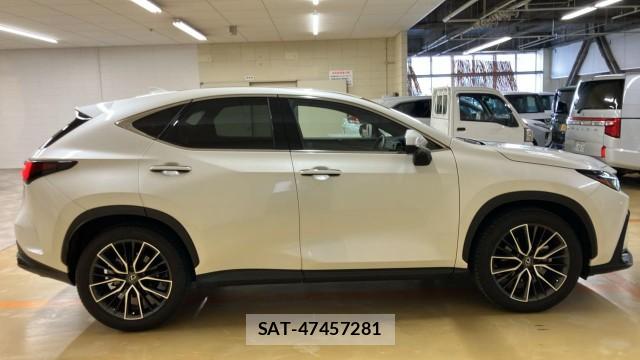 Lexus NX 2023-09 8855289-10