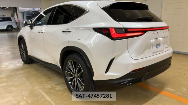 Lexus NX 2023-09 8855289-12
