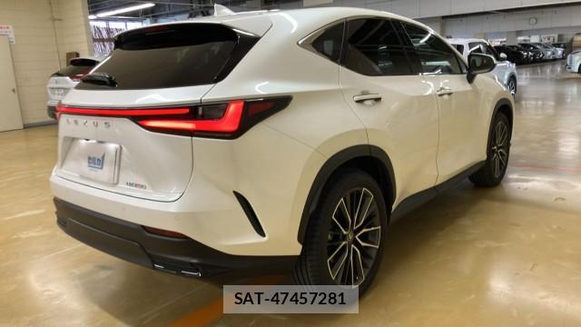 Lexus NX 2023-09 8855289-13