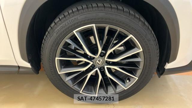 Lexus NX 2023-09 8855289-8