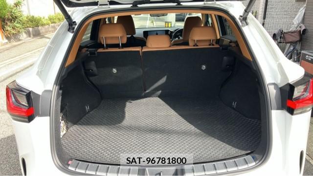 Lexus NX 2023-02 8855317-17