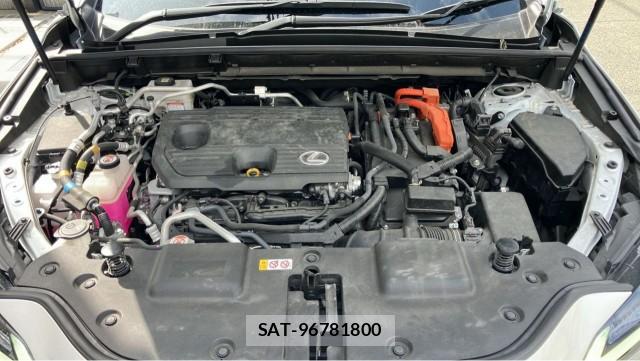 Lexus NX 2023-02 8855317-7