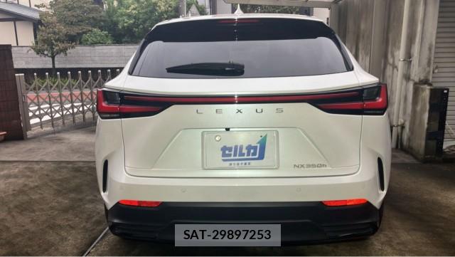 Lexus NX 2024-11 8855324-1