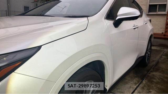 Lexus NX 2024-11 8855324-10
