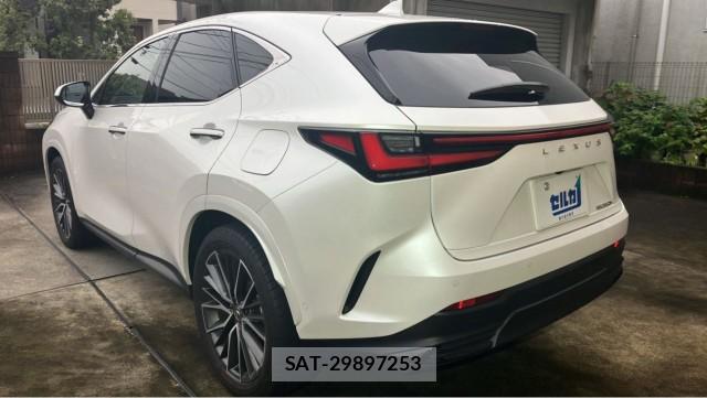 Lexus NX 2024-11 8855324-13