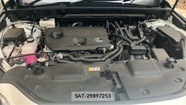 Lexus NX 2024-11 8855324-7