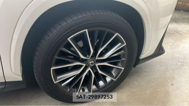 Lexus NX 2024-11 8855324-8