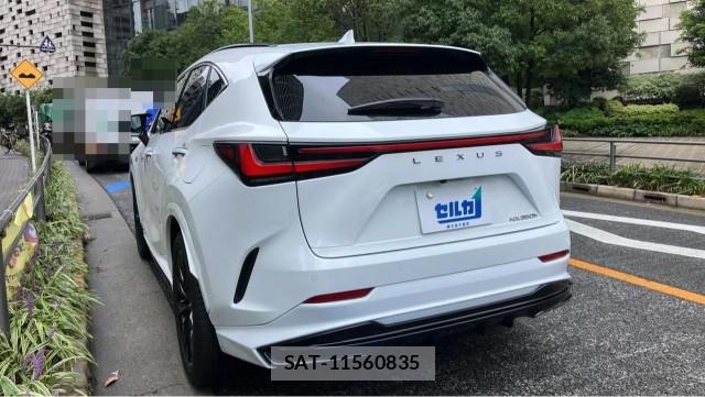 Lexus NX 2025-03 8855336-13