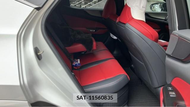 Lexus NX 2025-03 8855336-6