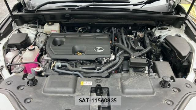 Lexus NX 2025-03 8855336-7