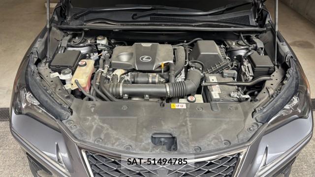 Lexus NX 2018-05 8855374-7