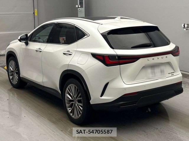 Lexus NX 2021-11 8855577-1