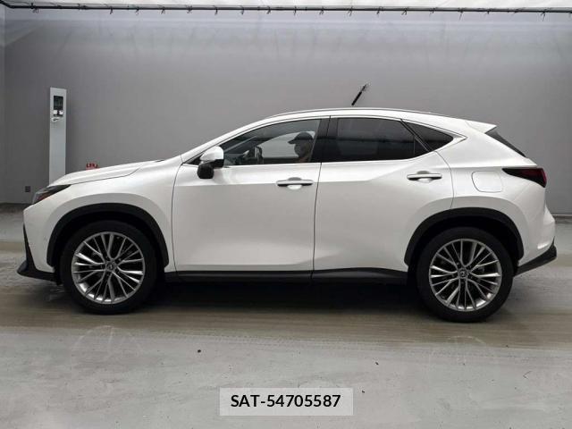 Lexus NX 2021-11 8855577-12