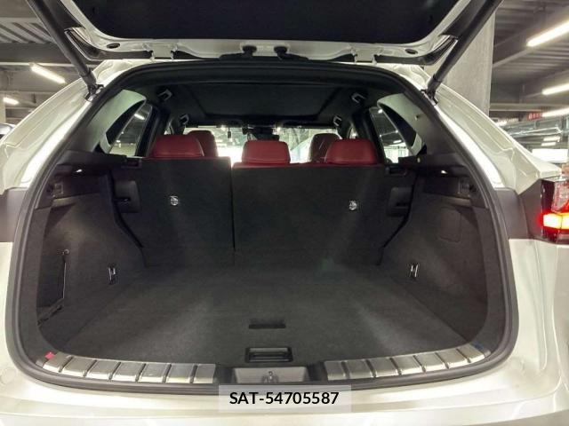 Lexus NX 2021-11 8855577-13