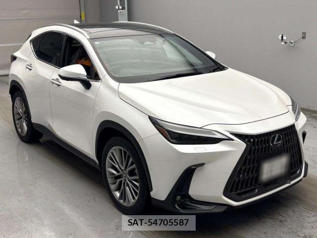 Lexus NX 2021-11 8855577-6