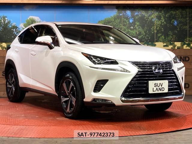 Lexus NX 2021-01 8855697-15