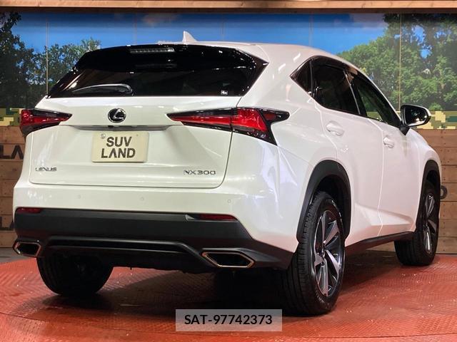 Lexus NX 2021-01 8855697-16
