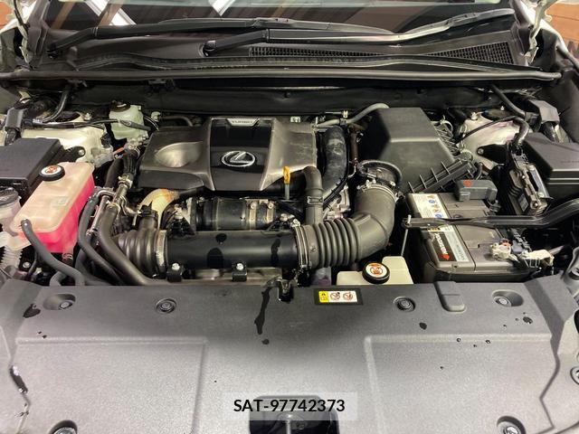 Lexus NX 2021-01 8855697-17