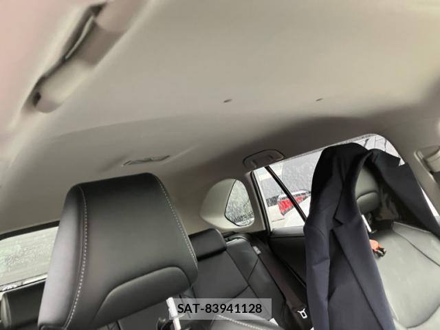 Toyota RAV4 2019-09 8854609-11