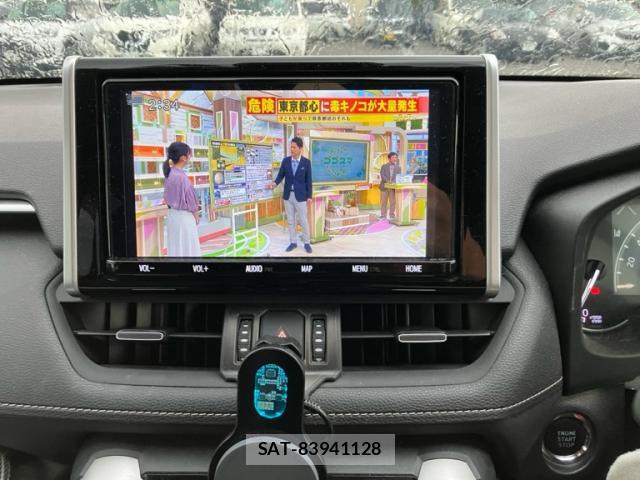Toyota RAV4 2019-09 8854609-19