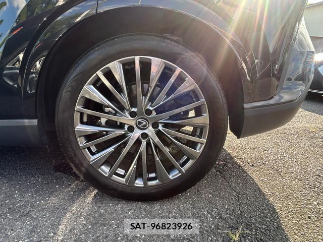 Lexus RX 2023-09 8854965-12