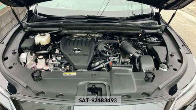 Lexus RX 2025-07 8855355-7