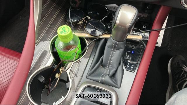 Lexus RX 2017-04 8855357-14