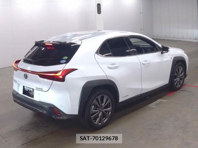 Lexus UX 2019-07 8855846-1