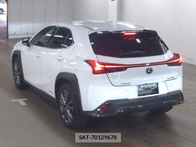 Lexus UX 2019-07 8855846-4