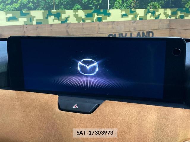 Mazda CX-60 2024-02 8866818-3