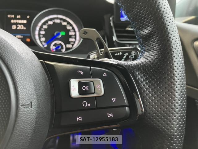 VolksWagen GOLF R VARIANT 2016-09 8866488-18