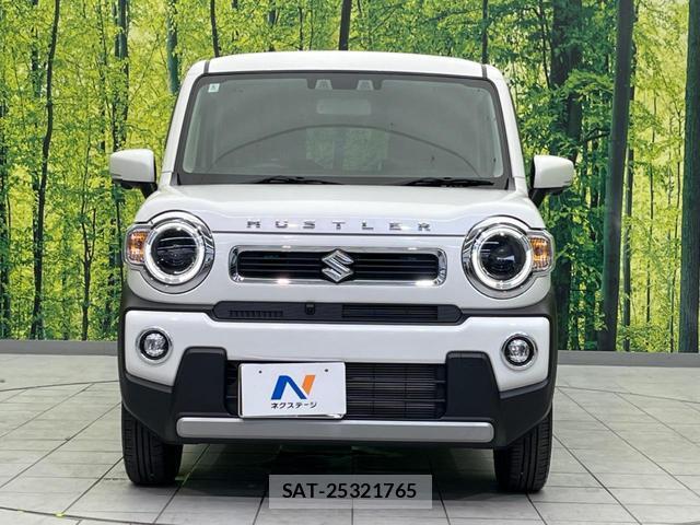 Suzuki HUSTLER 2024-05 8866278-13