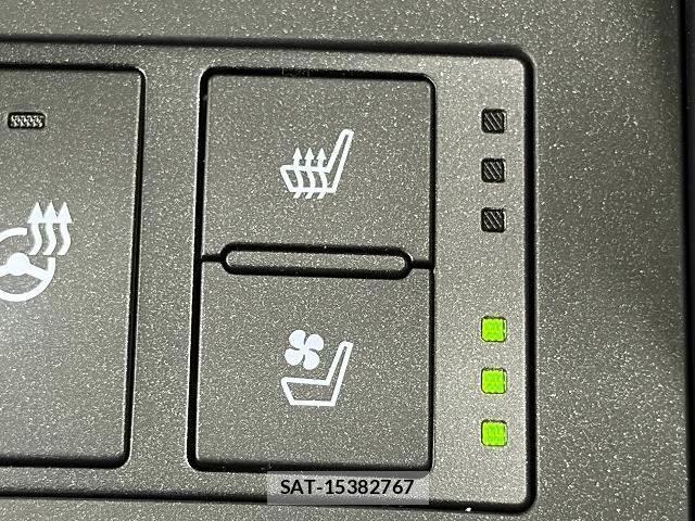 Lexus IS 2021-01 8866345-5