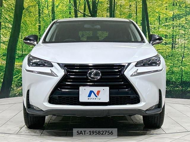 Lexus NX 2017-04 8866075-13