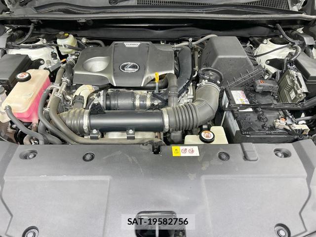 Lexus NX 2017-04 8866075-17