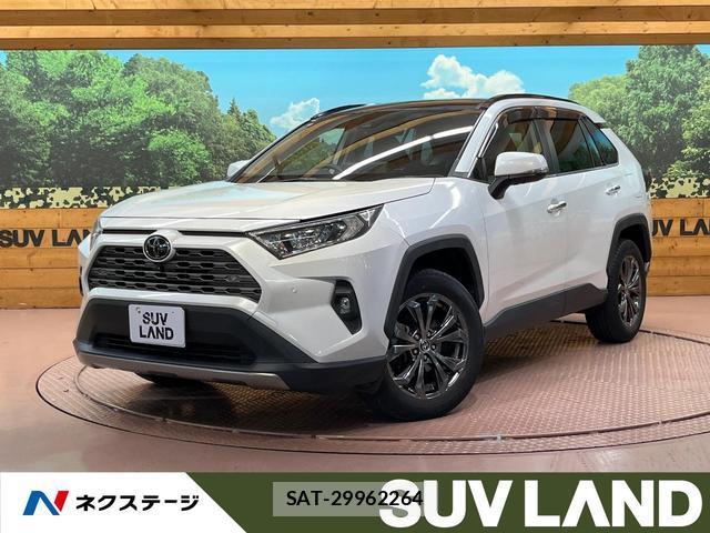 Toyota RAV4 2023-01 8867094-0