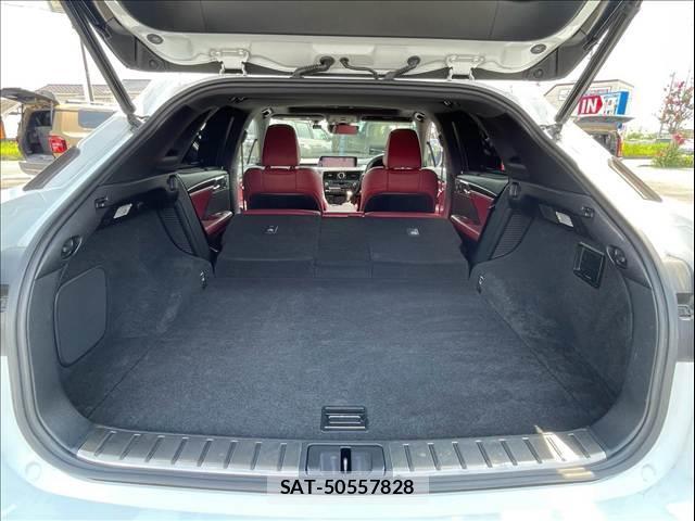 Lexus RX 2016-01 8867402-12