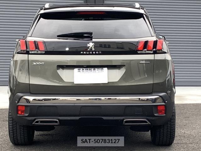 Peugeot 3008 2017-12 8875208-1