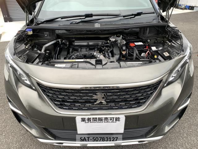 Peugeot 3008 2017-12 8875208-7