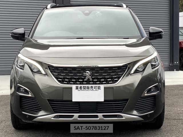 Peugeot 3008 2017-12 8875208-9