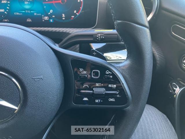 Mercedes Benz A-CLASS 2019-06 8873294-18