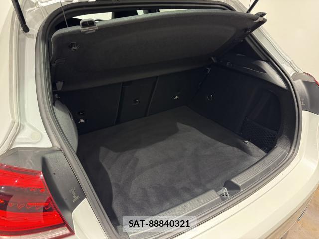 Mercedes Benz A-CLASS 2020-03 8875882-14
