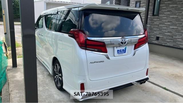 Toyota ALPHARD 2020-11 8874449-13