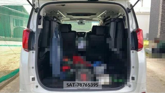 Toyota ALPHARD 2020-11 8874449-17