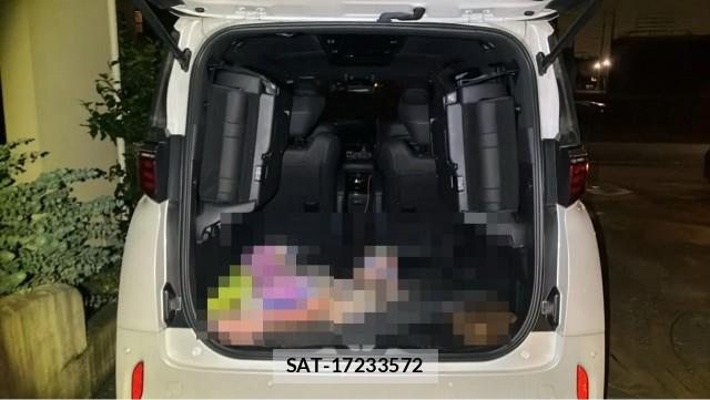 Toyota ALPHARD 2024-03 8874453-17