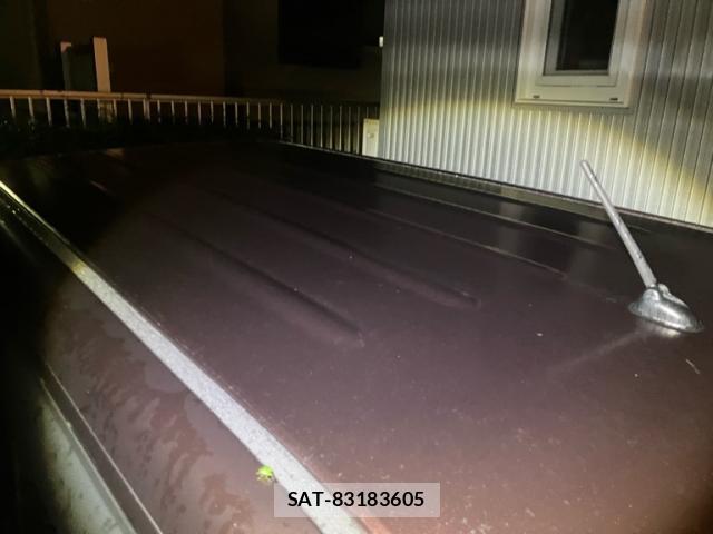 Suzuki LAPIN 2009-09 8873329-7