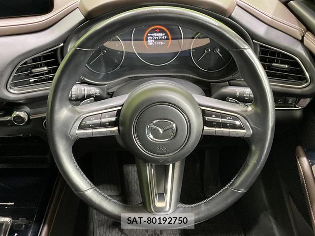 Mazda CX-30 2021-12 8874693-10