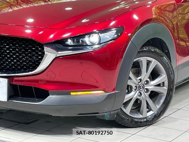 Mazda CX-30 2021-12 8874693-11