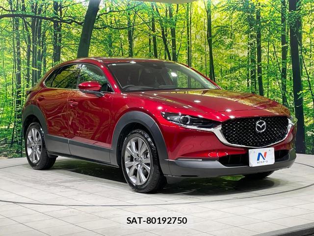 Mazda CX-30 2021-12 8874693-15
