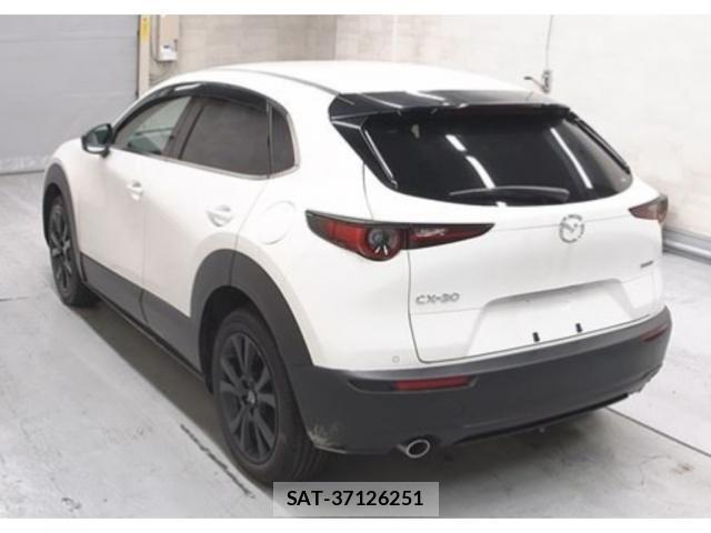 Mazda CX-30 2026-02 8875305-1